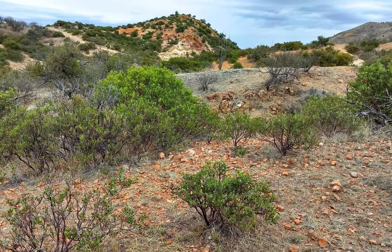 Out Of Pima County - Land