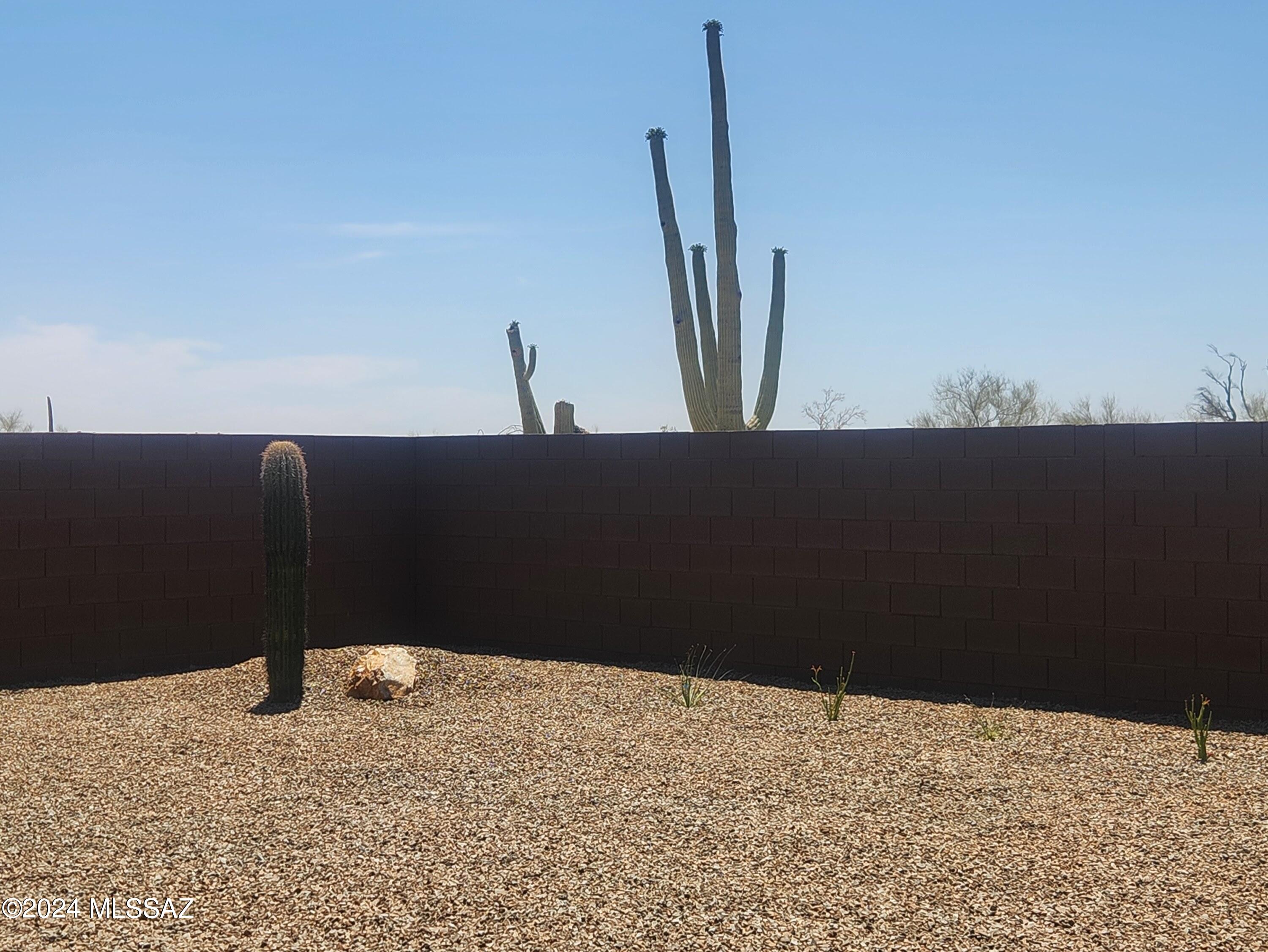 Saguaro Reserve I at Dove Mountain - Residential