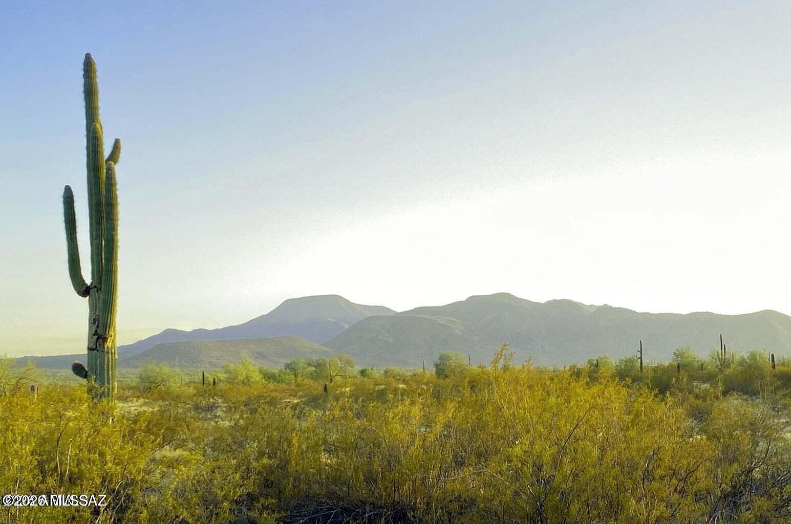 Zoned GR, this versatile desert property offers the freedom to create the lifestyle you want--whether that means a manufactured home, horses, or room to spread out. Enjoy tons of solitude, breathtaking starry night skies, and a beautiful natural landscape filled with towering saguaros and mesquite trees. Conveniently located just off Hwy 84 and only 15 minutes from everyday amenities. SELLER FINANCING AVAILABLE