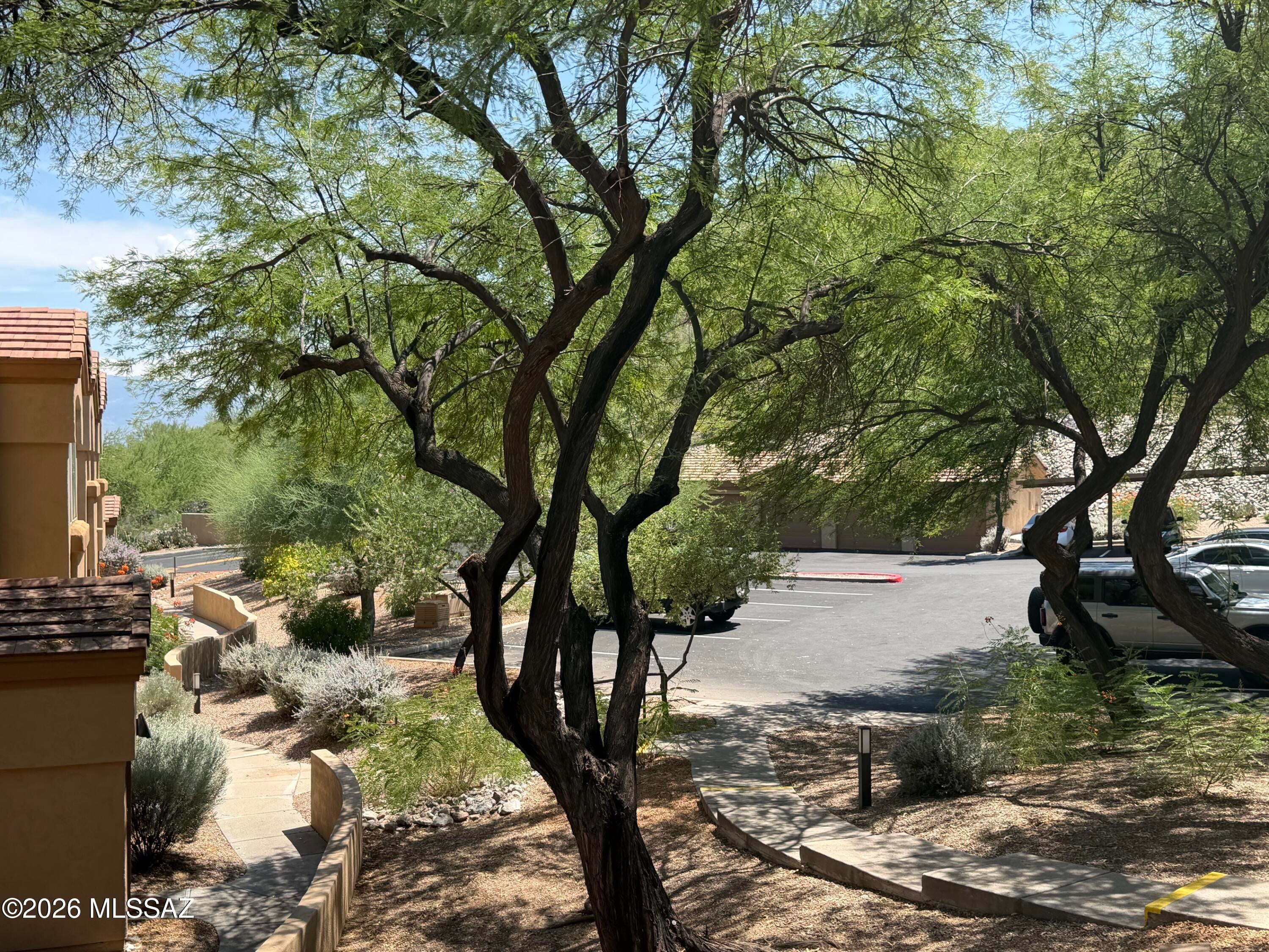 Pinnacle Canyon Condominium - Residential Lease