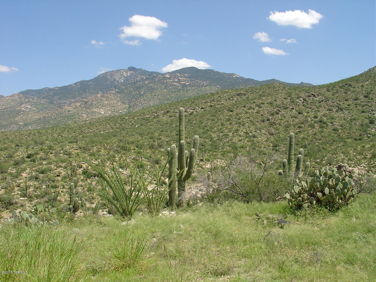 Located just outside Tucson sits this secluded 36 acre hill-top property w/ beautiful 360° views of the Rincons, city lights & amazing desert sunsets. Everything is in place to build your custom home atop this 3400ft elev high quality property. The gated X9 Ranch community of 36+ acre lots is nestled along the Rincons & borders Saguaro Park East providing a private paradise. This saguaro-studded lot offers wildlife, horseback riding, hiking/biking trails & more. Property has 2 bulldozed sites, one for your home, the other for a guest house, corral or tennis court. From your patio listen to rain water flow through the wash as you watch birds, deer, javelina, bobcat, fox & tortoise frequent your property. Utilities incl community water, private well, electric, phone, cell, hi-speed internet