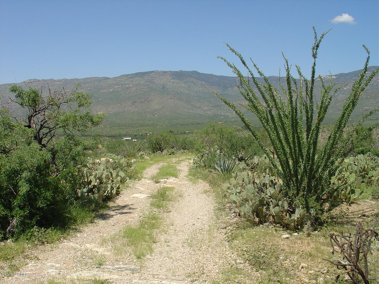 X9 Ranch - Land