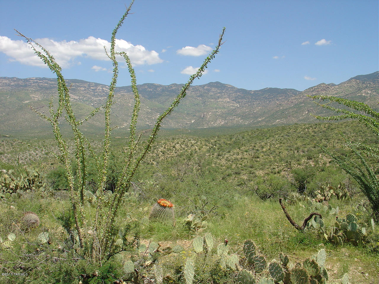 X9 Ranch - Land