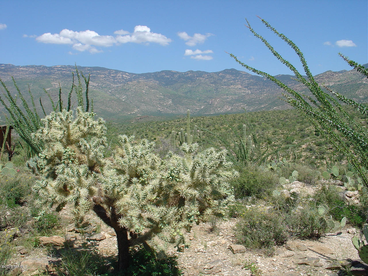 X9 Ranch - Land