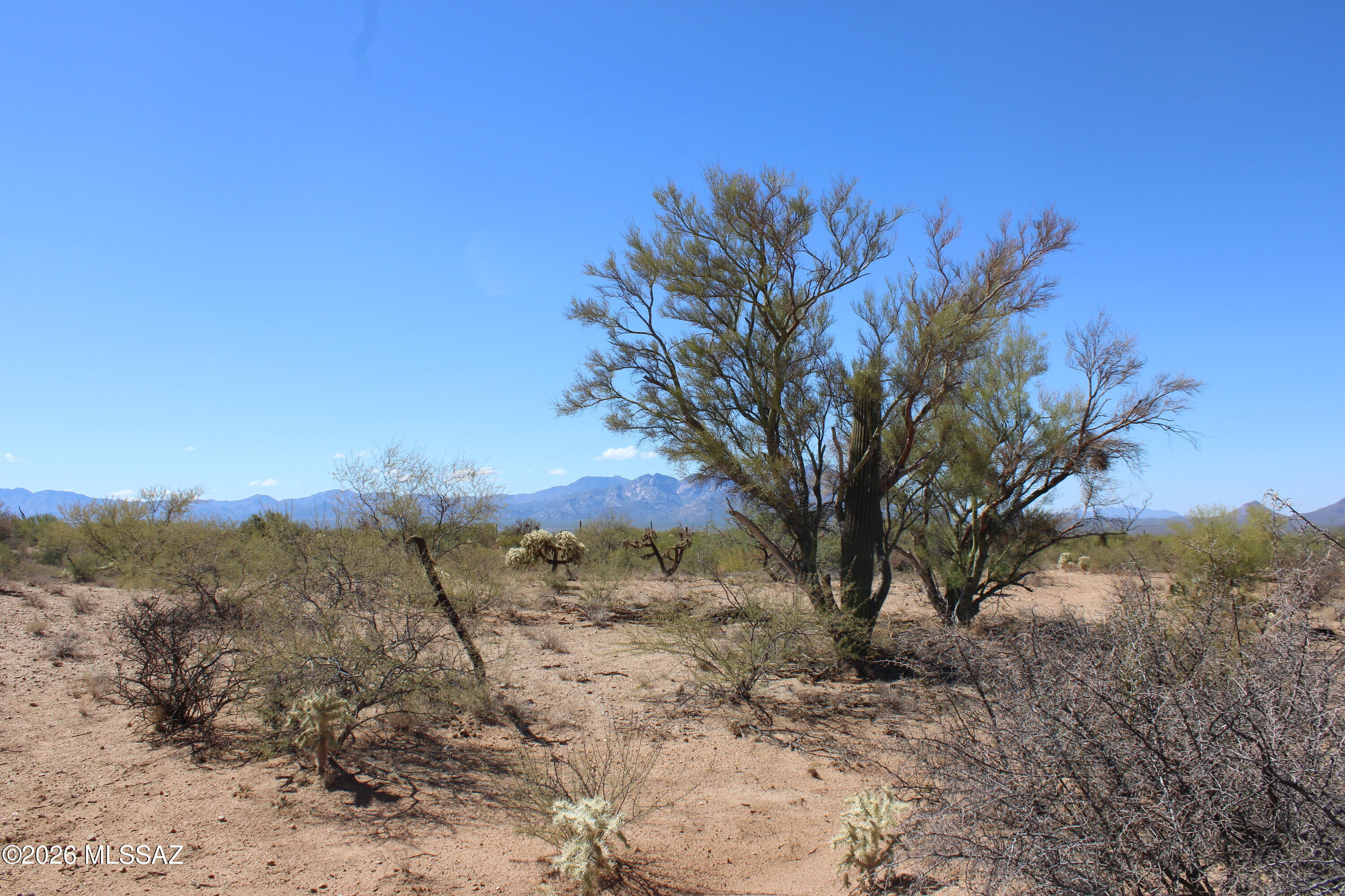 Build your desert retreat on this 1.203-acre (52,403 sqft) lot located across from Arizona State Trust Land, offering lasting open space
and privacy. Enjoy sweeping views of the Sierrita Mountains, the iconic Kitt Peak National Observatory, and the majestic Baboquivari Peak Wilderness, a
sacred landmark to the Tohono O'odham Nation. Peaceful setting with stunning sunsets and dark night skies. Adjacent 1.371-acre corner lot at 14243 S
Shaw Rd (APN 301-67-331) also available. Buyer to verify all facts.