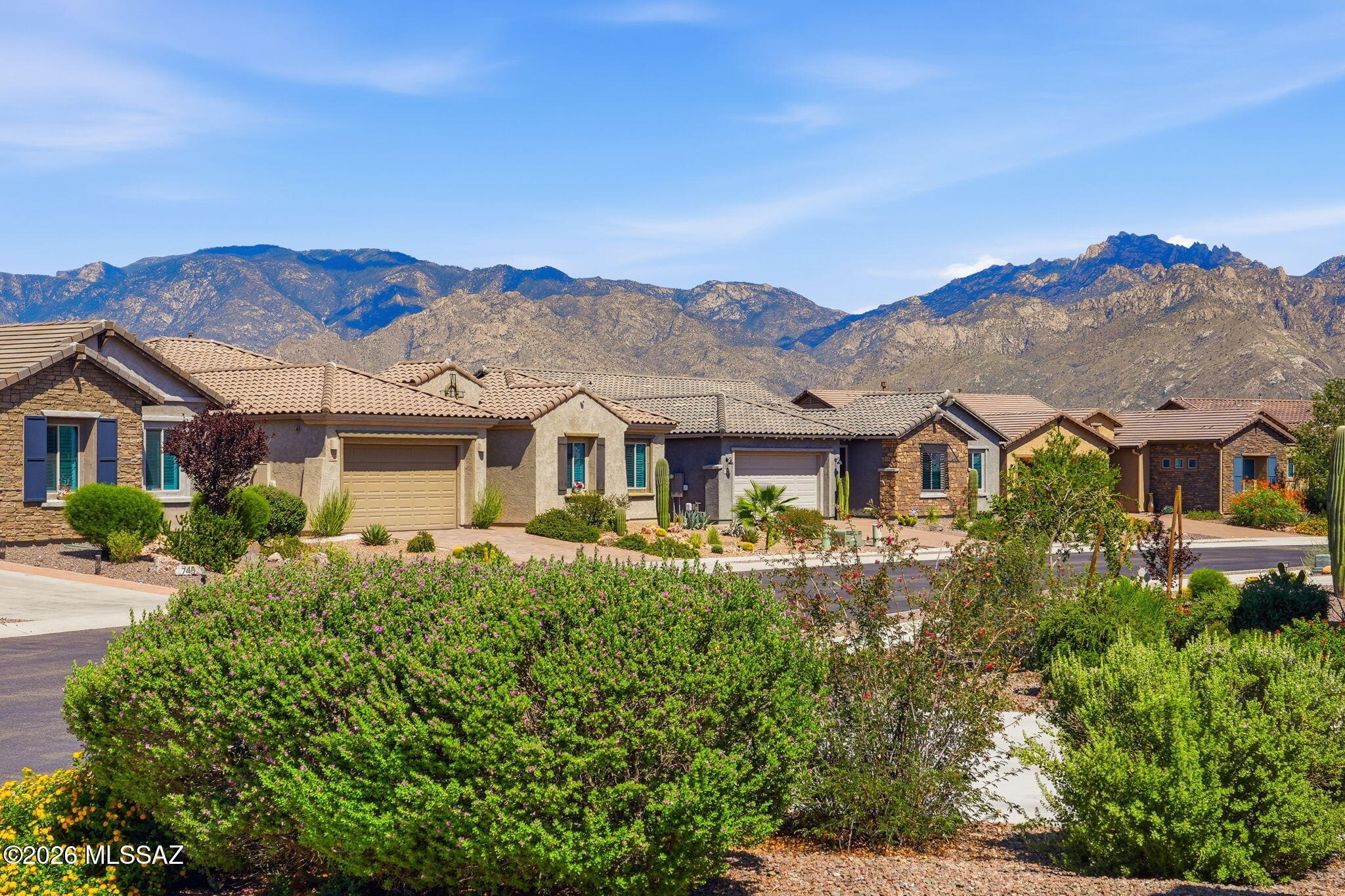 Rancho Vistoso Valley Vista - Residential