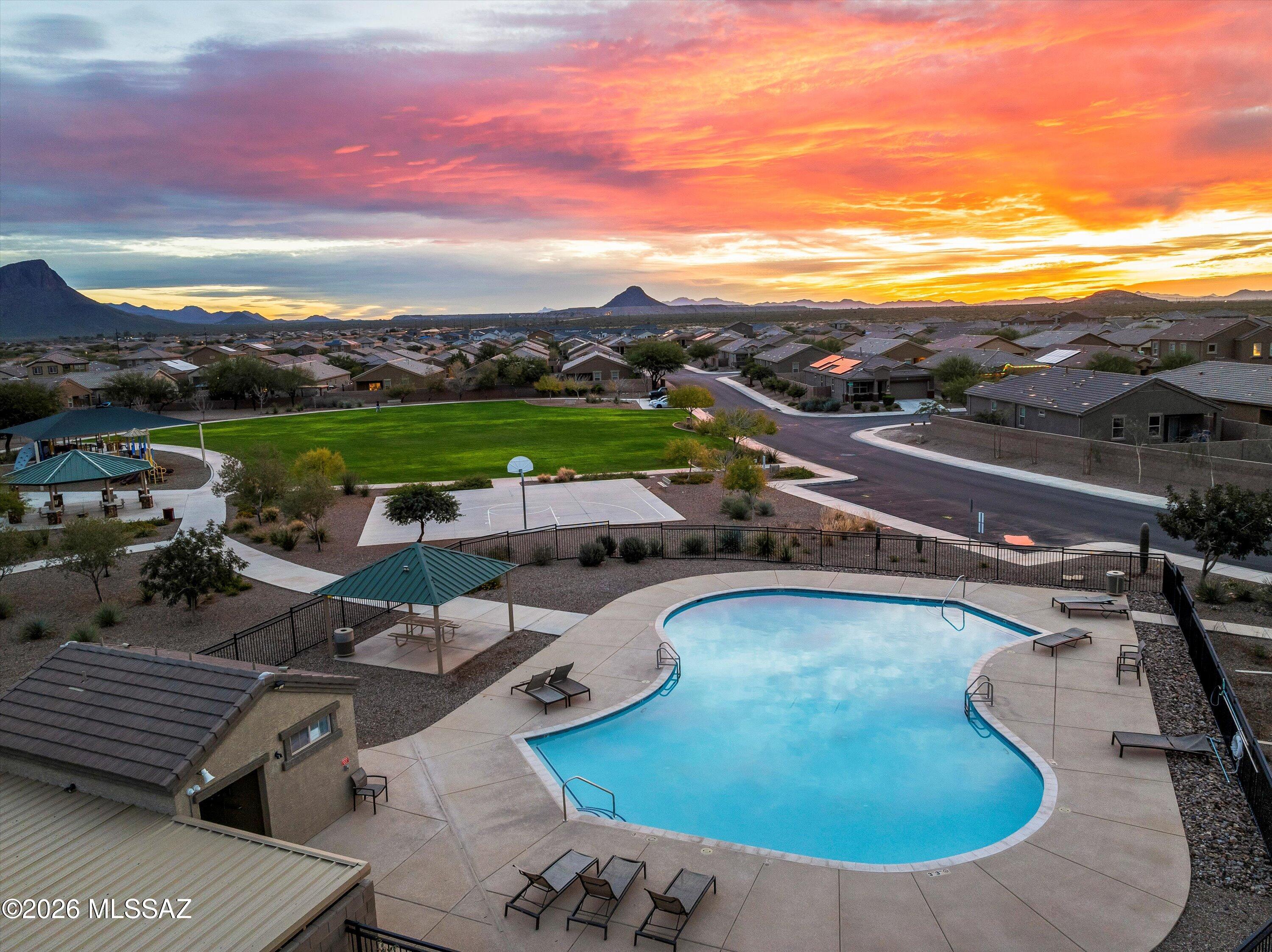 Saguaro Bloom SQ20180540069 - Residential