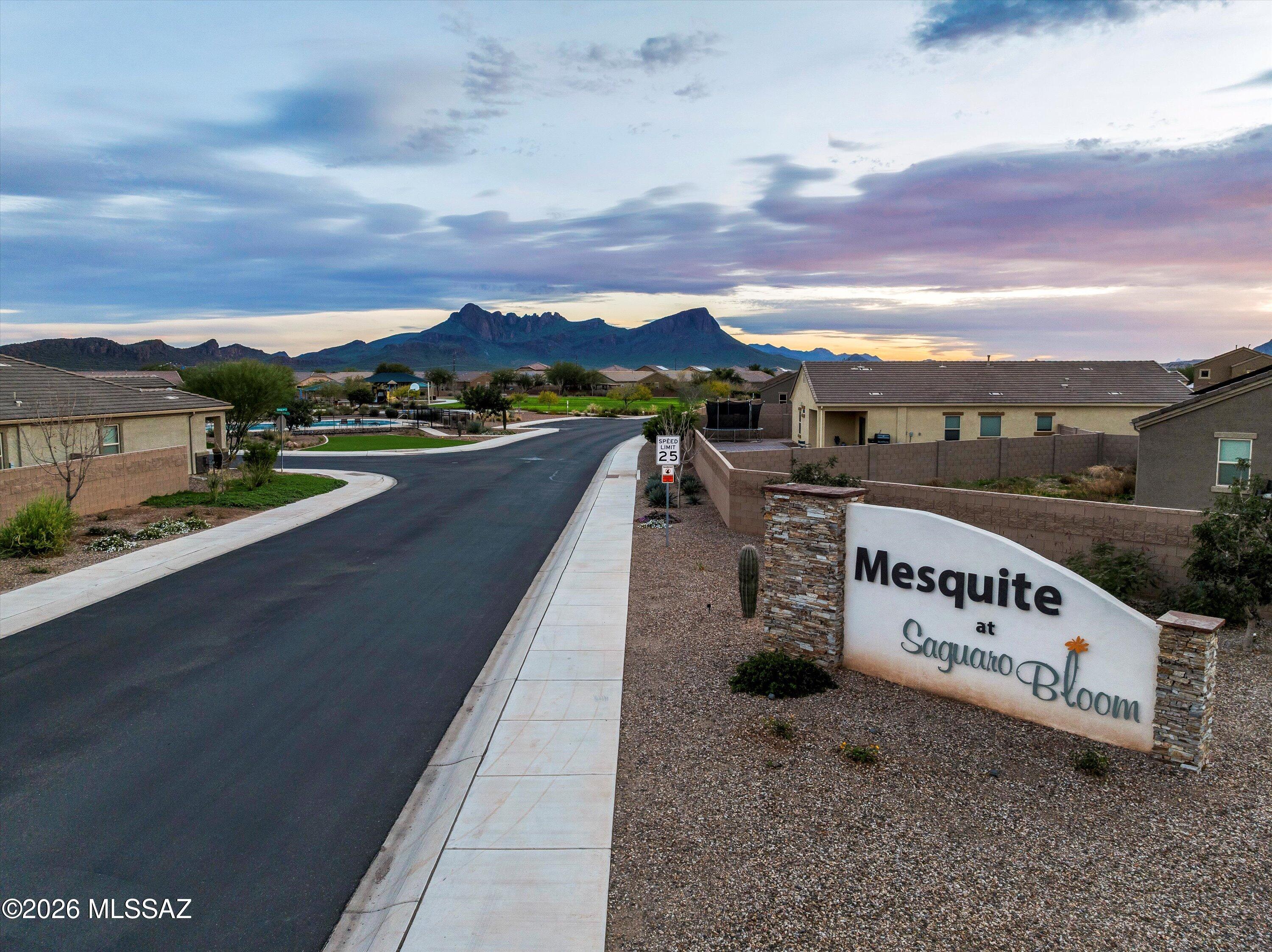 Saguaro Bloom SQ20180540069 - Residential