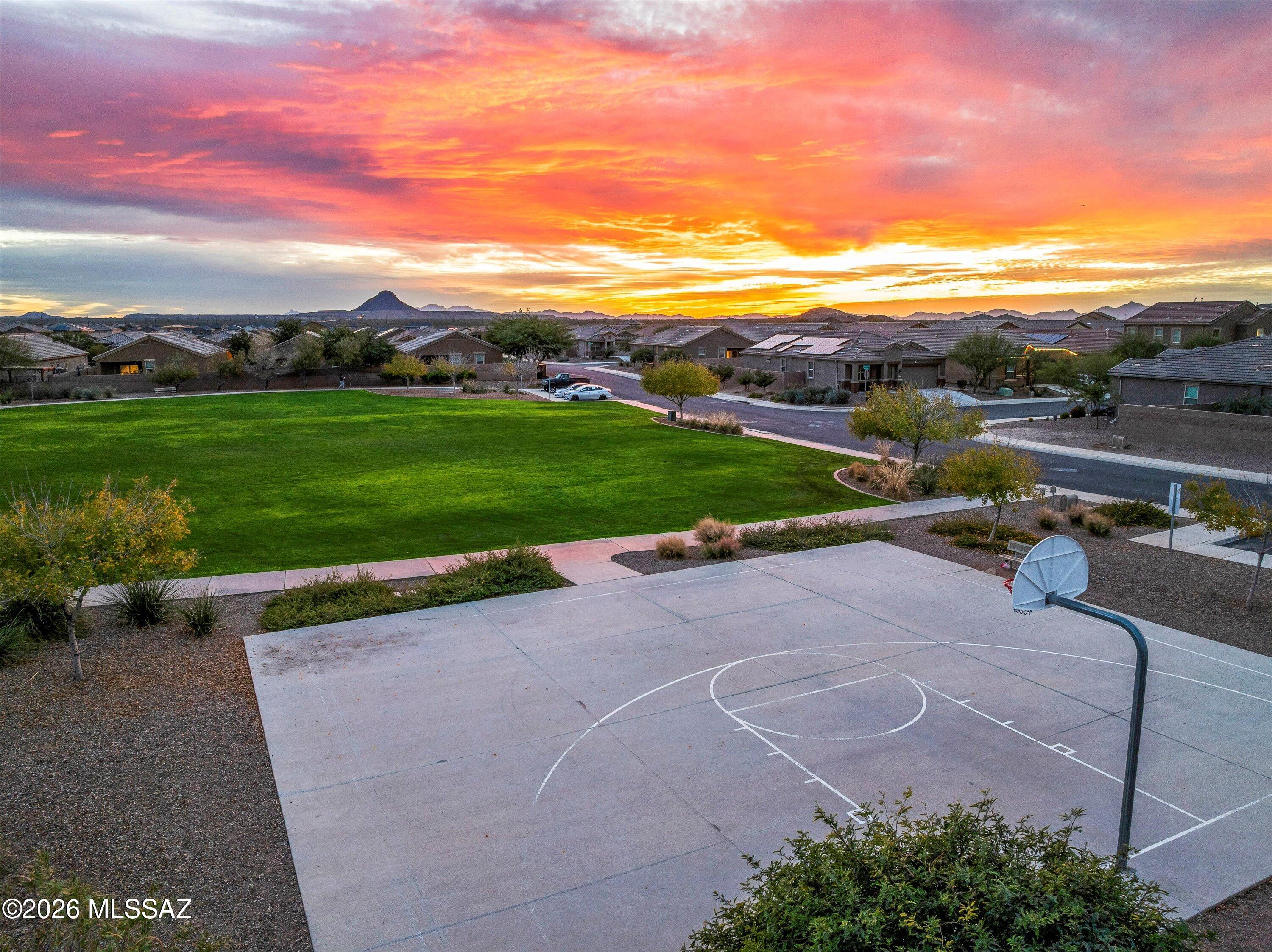 Saguaro Bloom SQ20180540069 - Residential