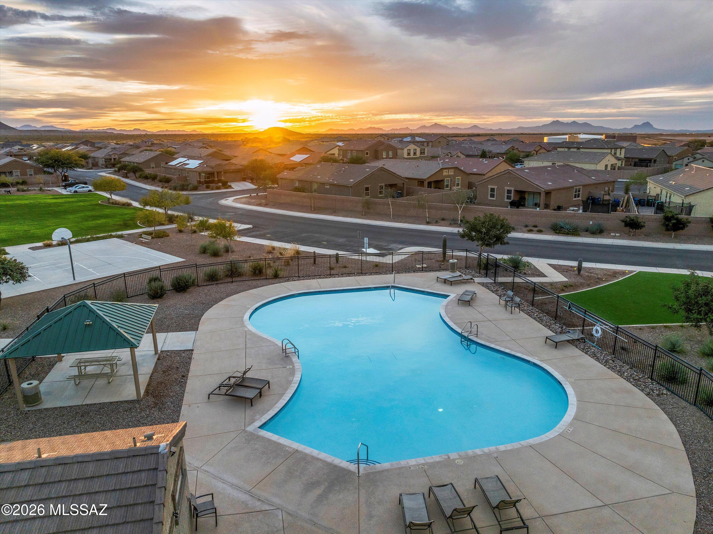 Saguaro Bloom SQ20180540069 - Residential