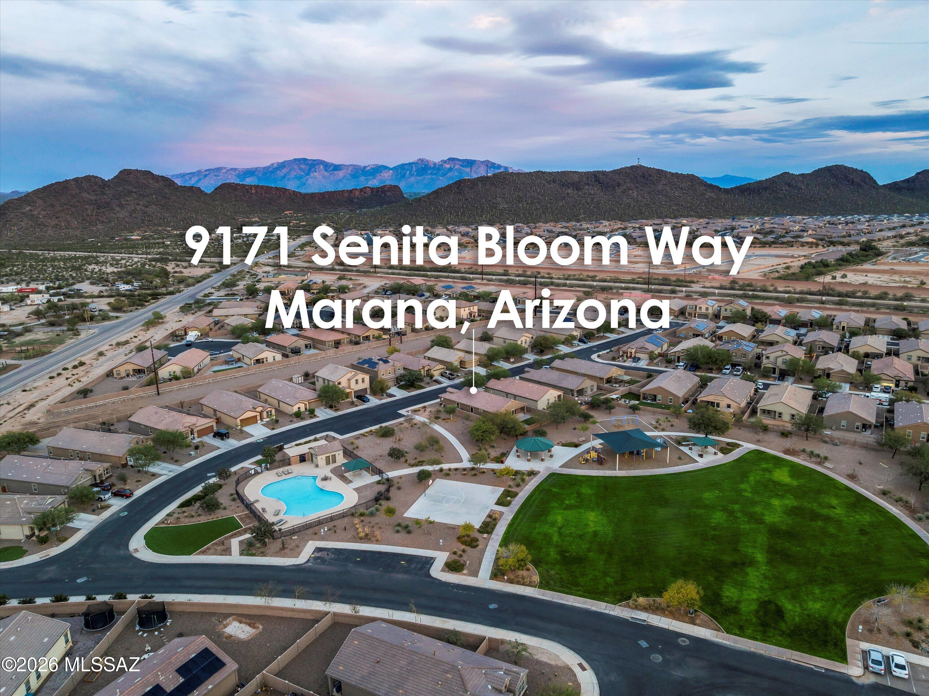Saguaro Bloom SQ20180540069 - Residential