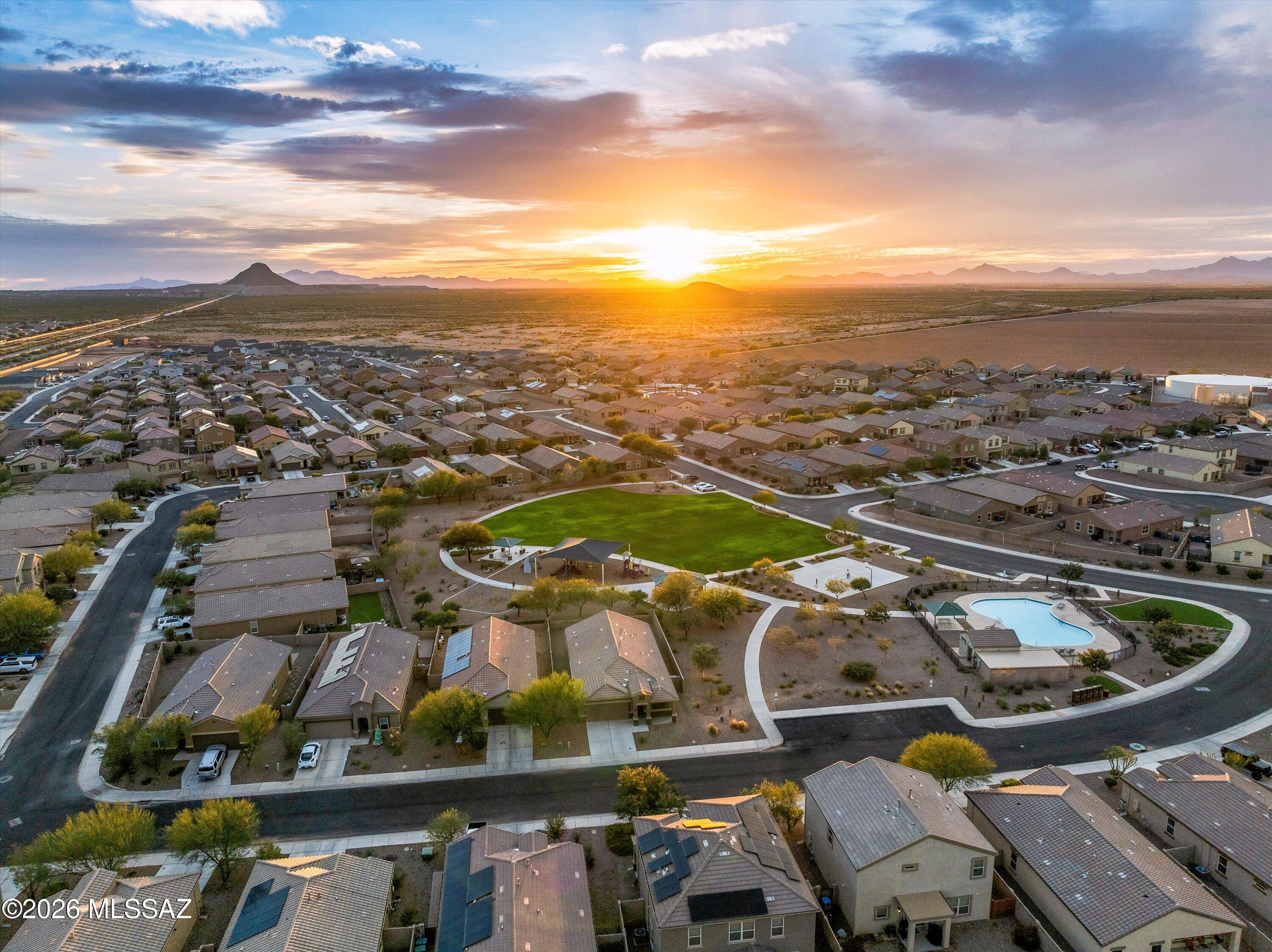 Saguaro Bloom SQ20180540069 - Residential