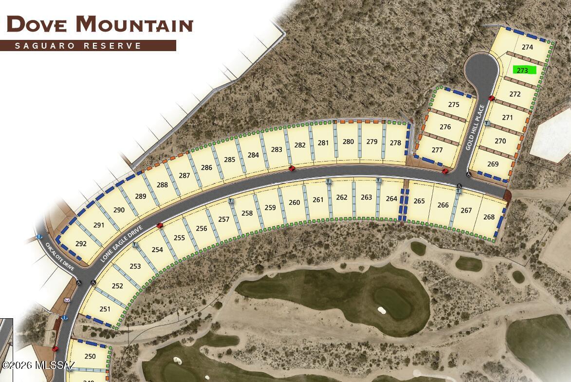 Saguaro Reserve II at Dove Mountain - Residential