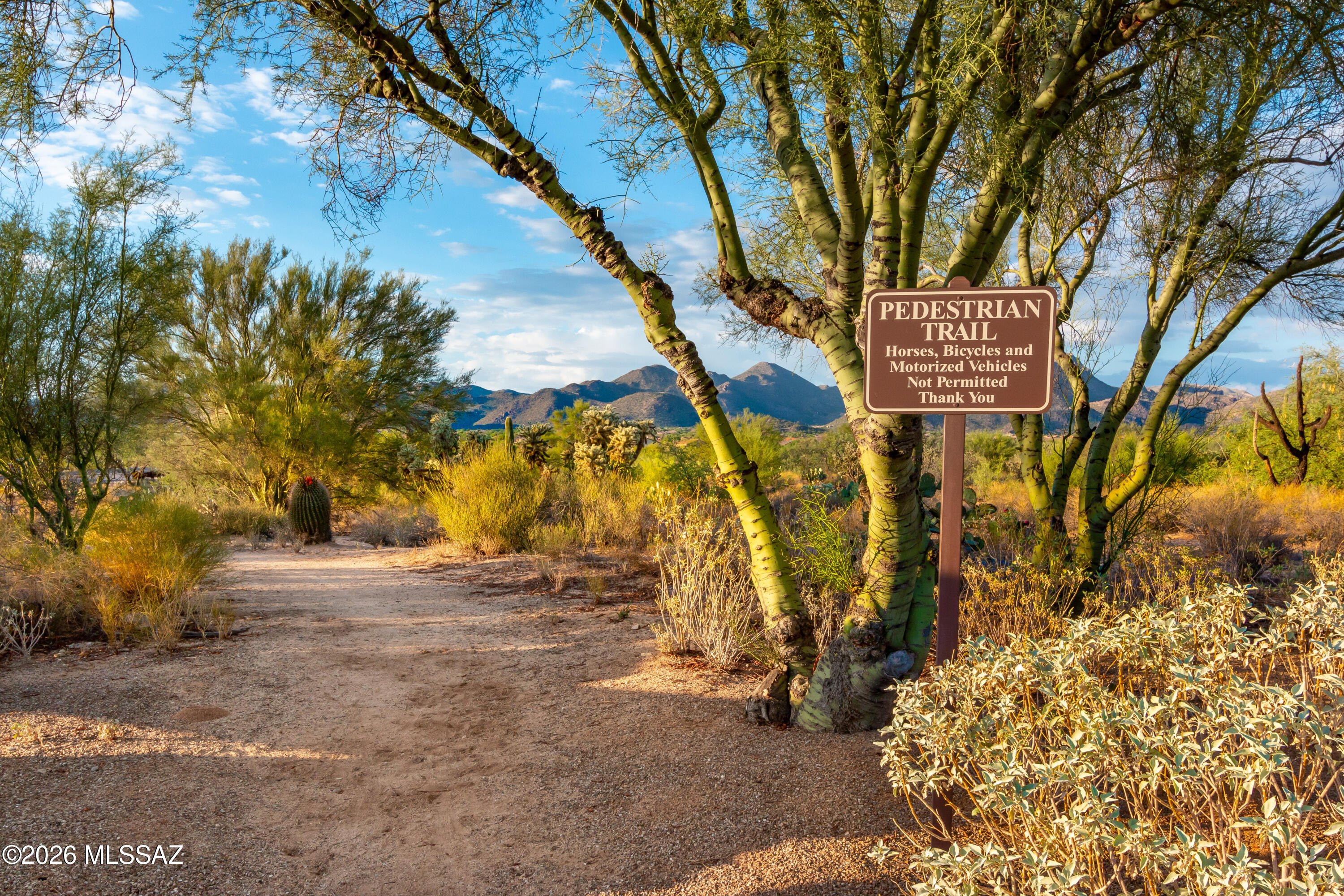 Preserve IV at Dove Mountain (487-529, 535-576, 606-650) - Residential