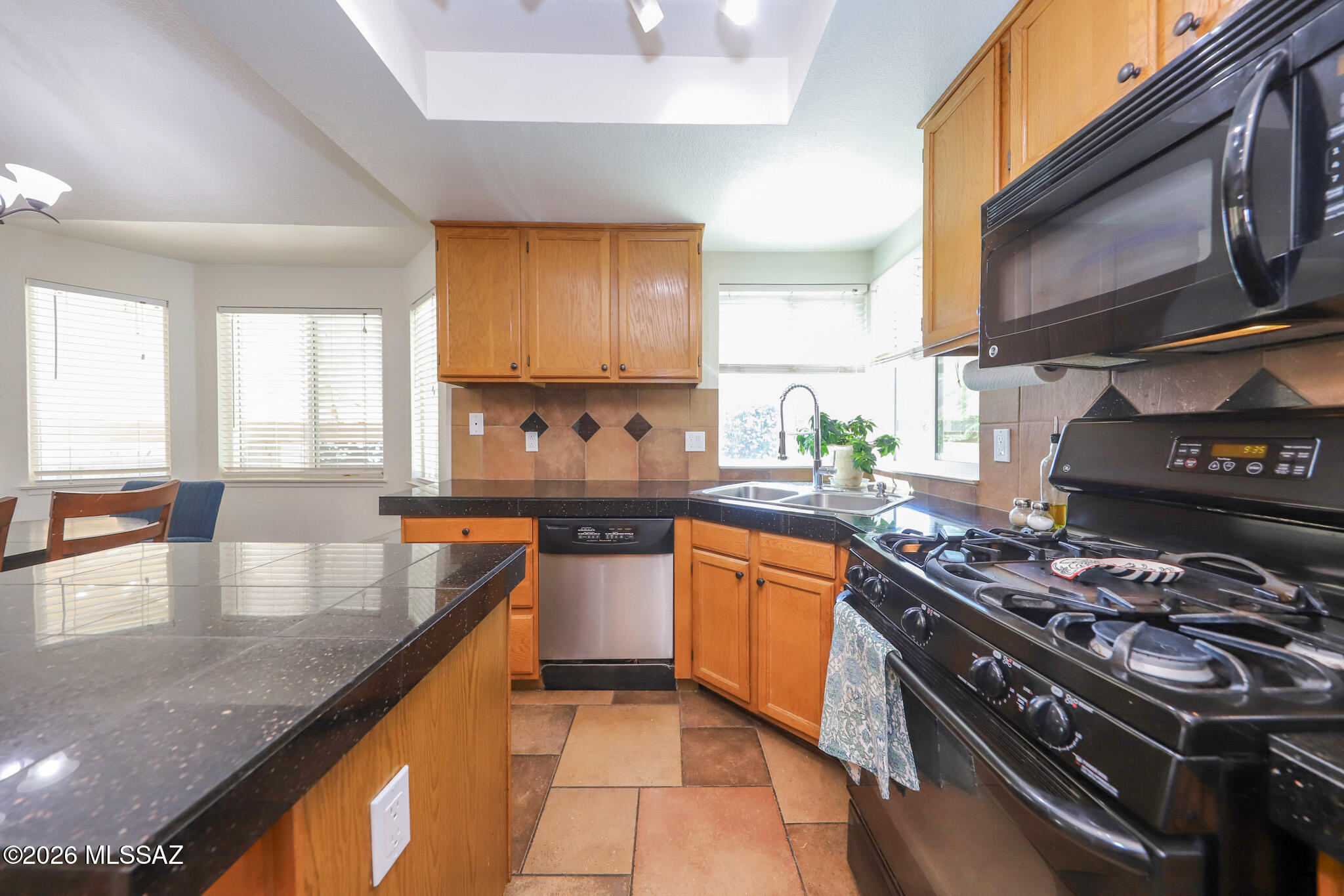 Elliott Homes At Rita Ranch (1-521) - Residential