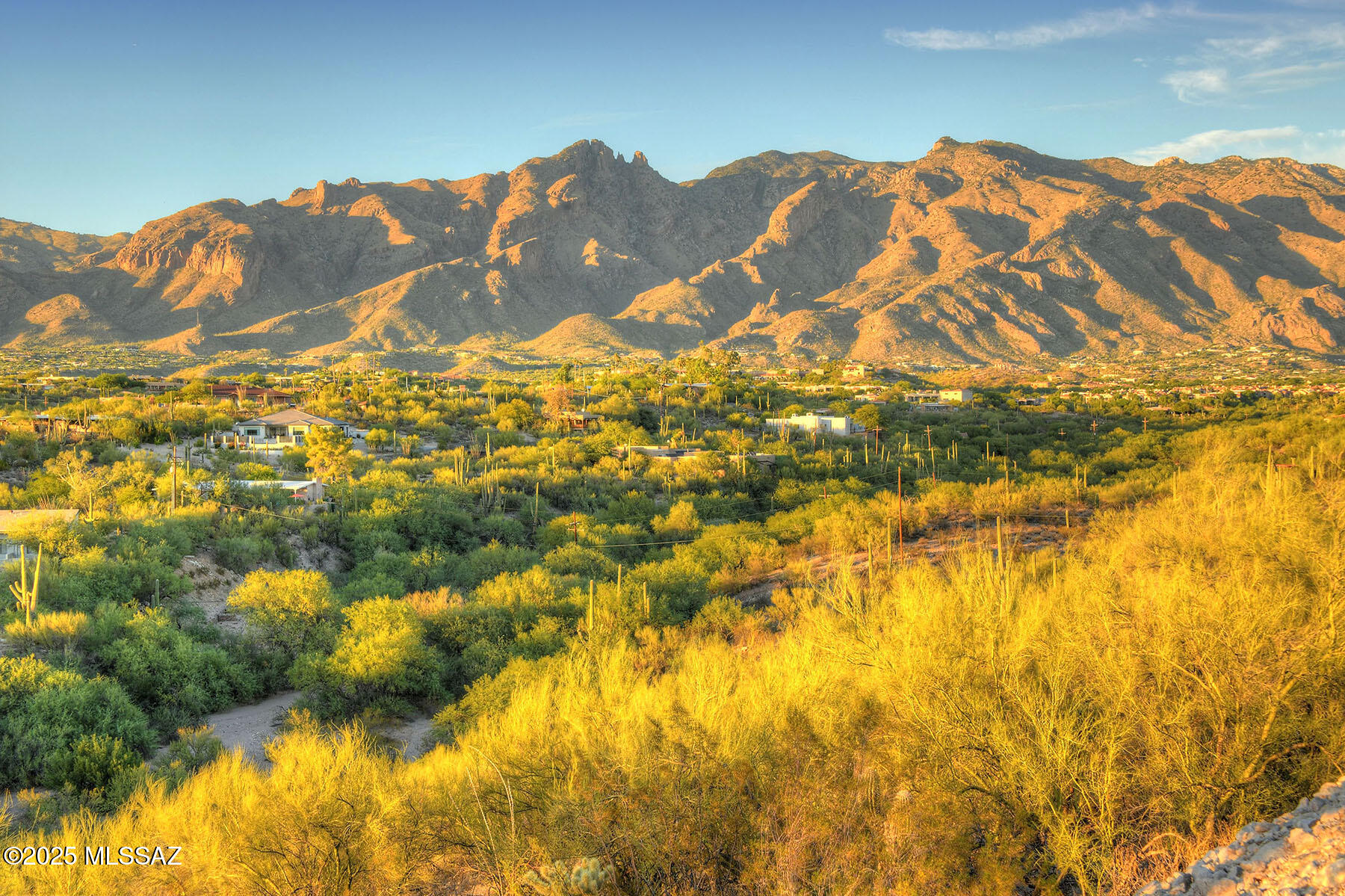 Quintana in the Catalina Foothills - Land