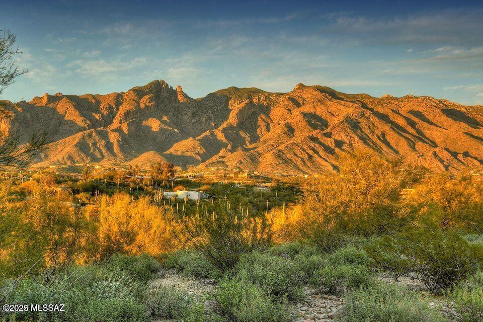 Quintana in the Catalina Foothills - Land