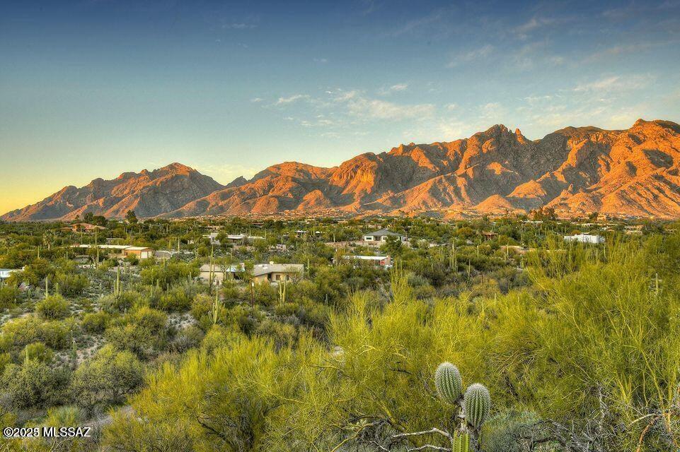 Quintana in the Catalina Foothills - Land