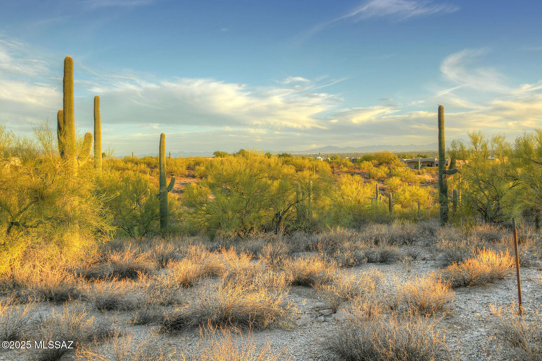 Quintana in the Catalina Foothills - Land