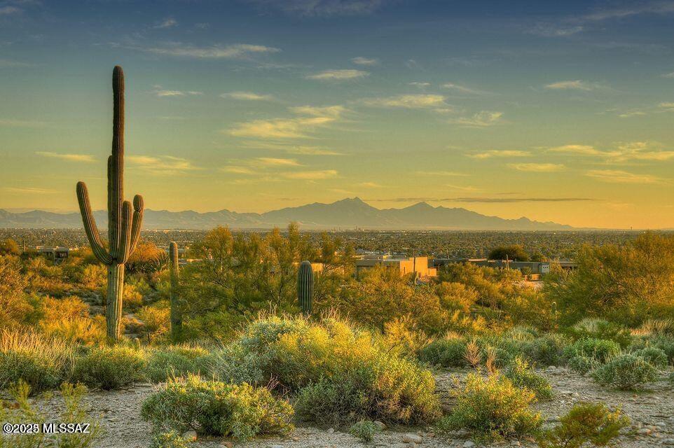 Quintana in the Catalina Foothills - Land