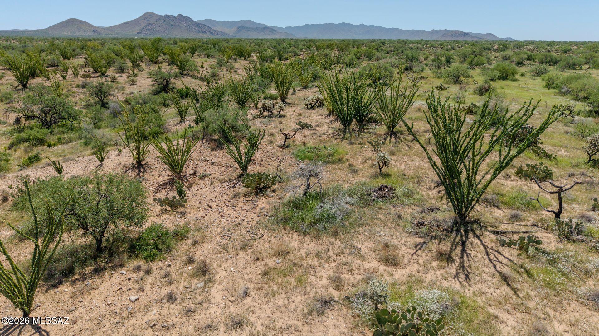 Diamond Bell Ranch - Tucson Unit 7 (1-416) - Land