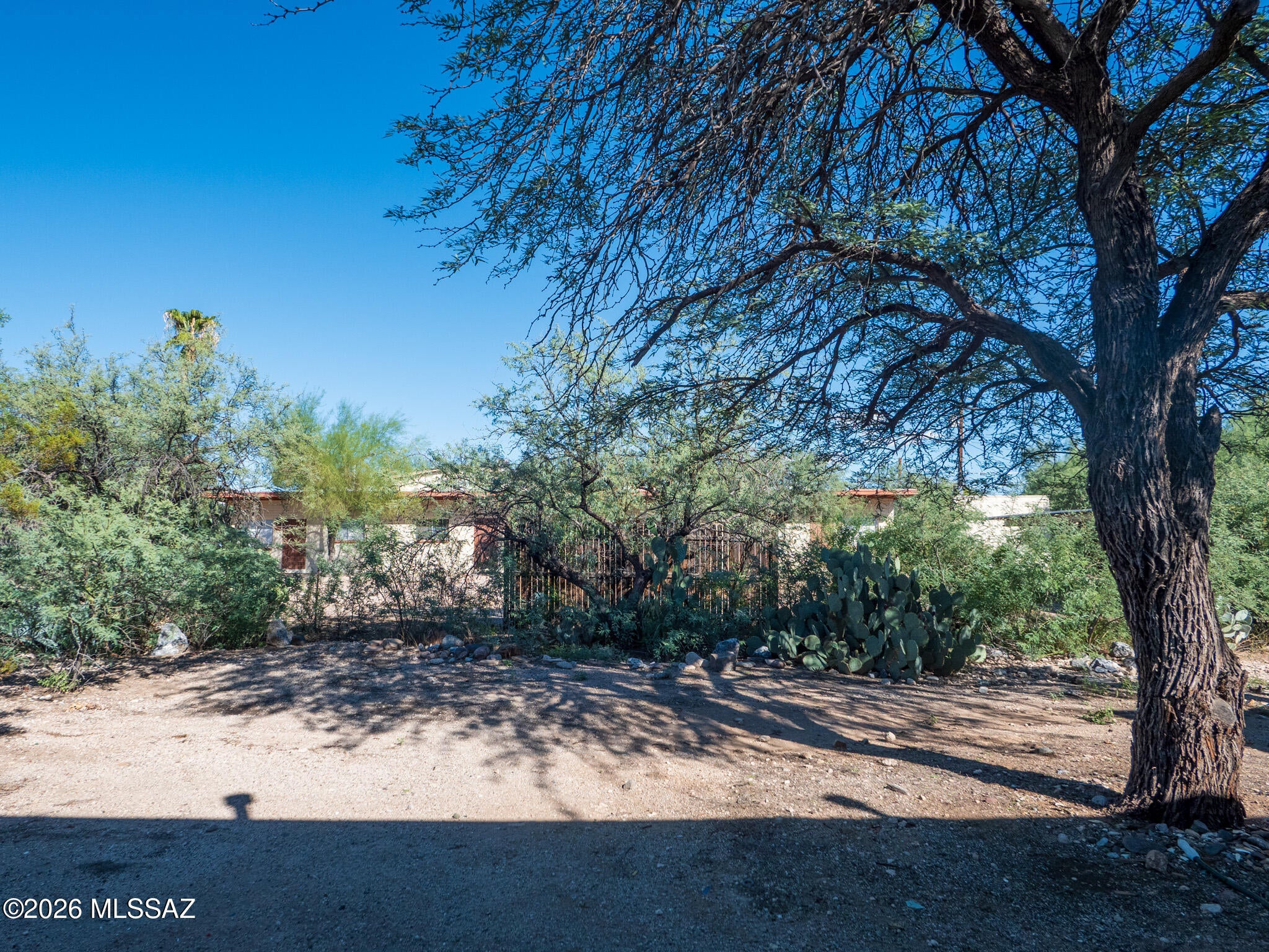 Feldmans Add - Residential Lease