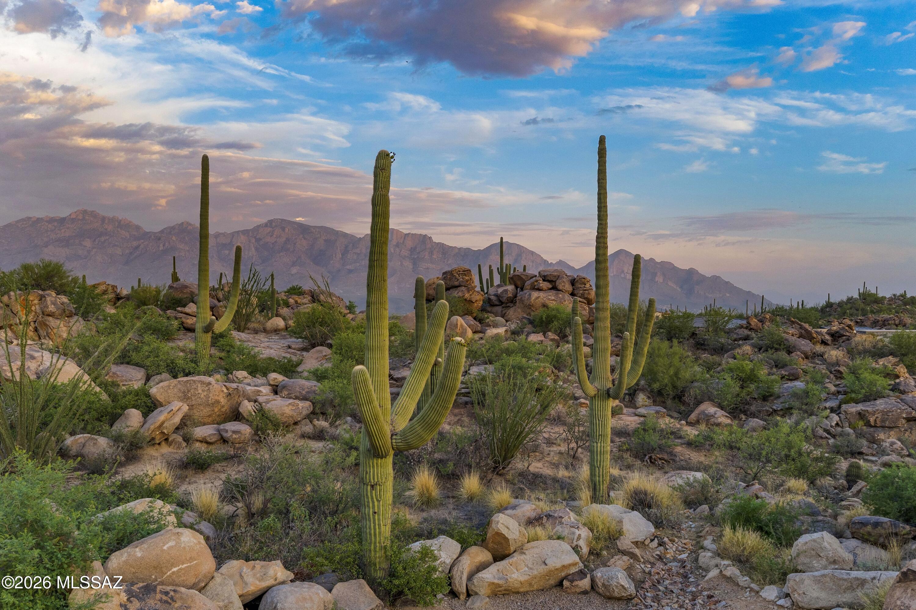 Meritage At Stone Canyon VIII - Residential