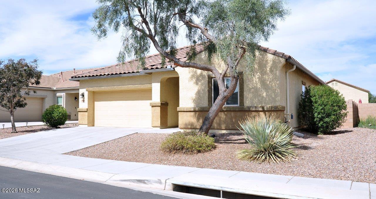 Saguaro Bloom Block 3 - Residential