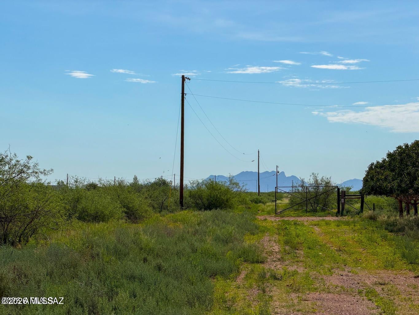 Out Of Pima County - Land