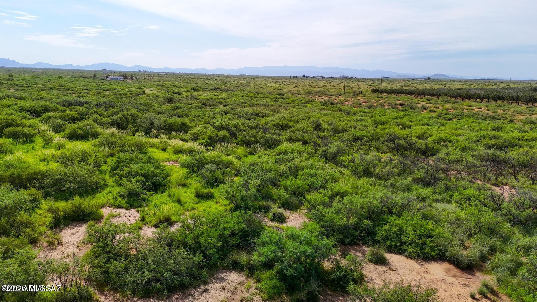 Out Of Pima County - Land