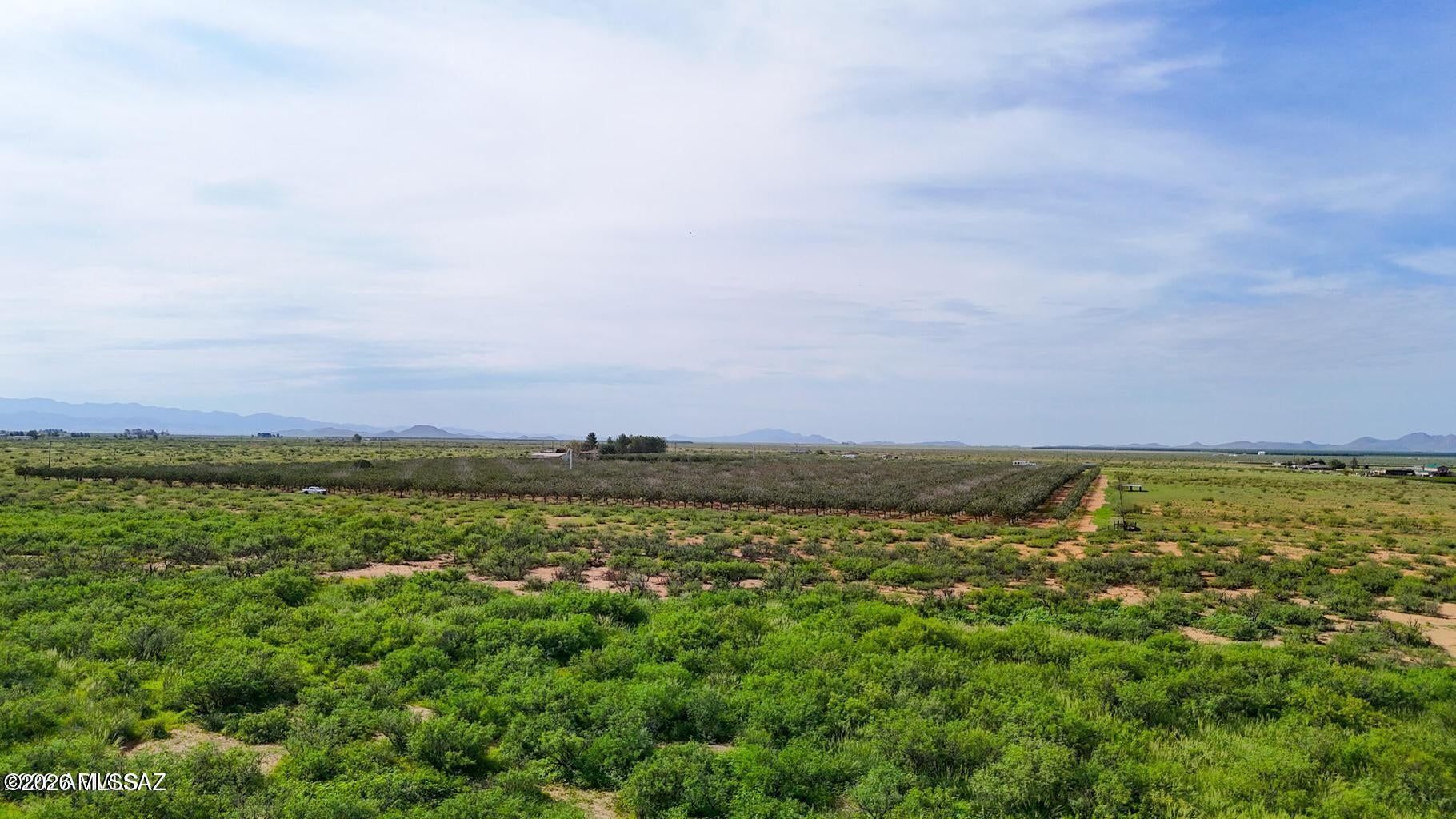Out Of Pima County - Land