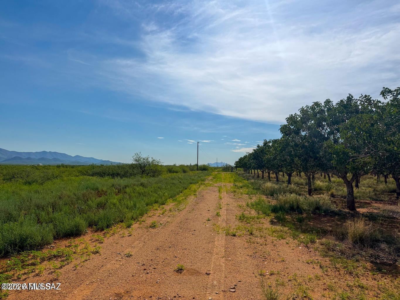 Out Of Pima County - Land