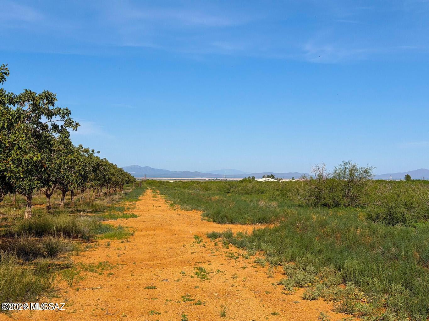 Out Of Pima County - Land