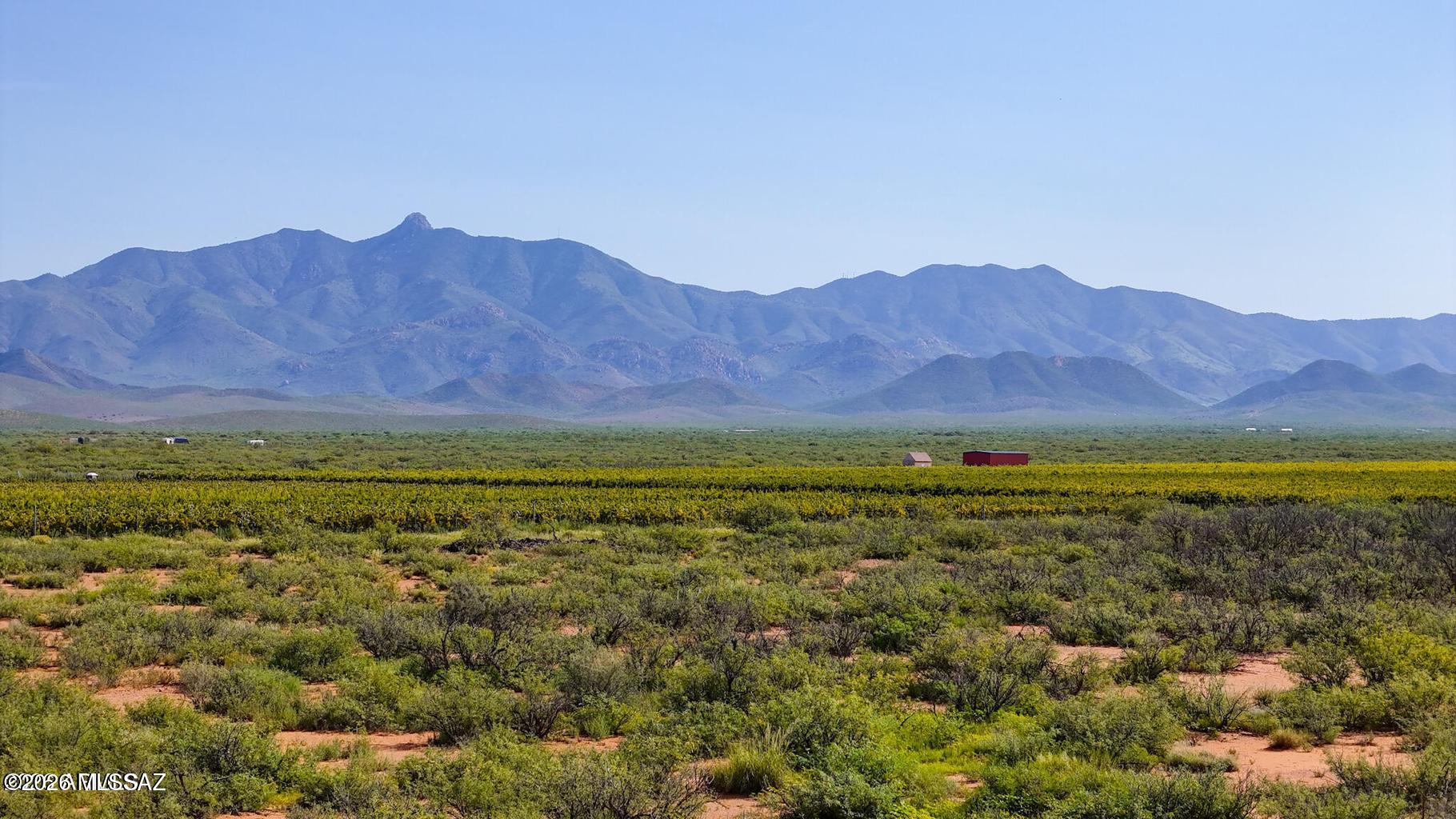 Out Of Pima County - Land