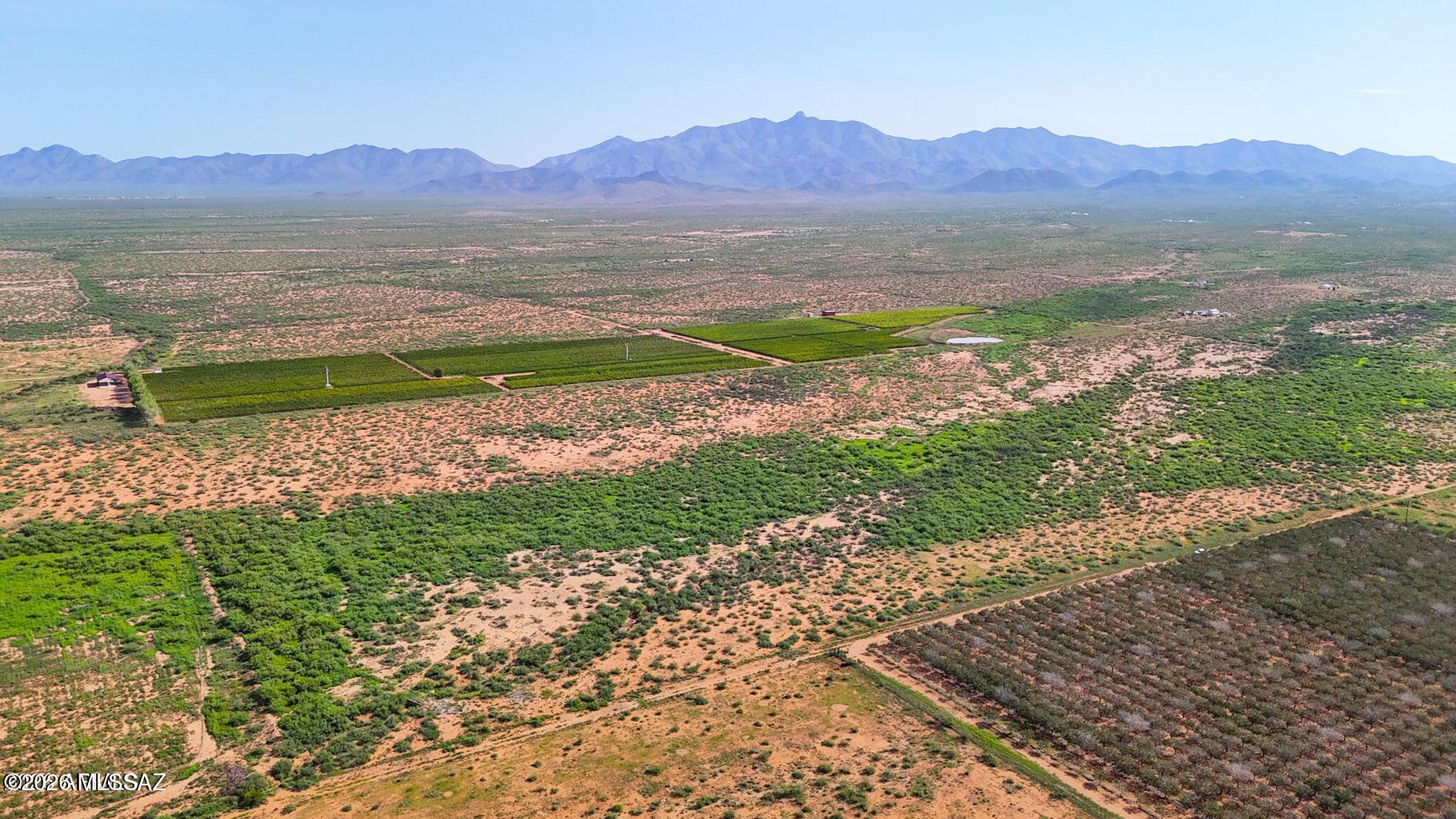 Out Of Pima County - Land