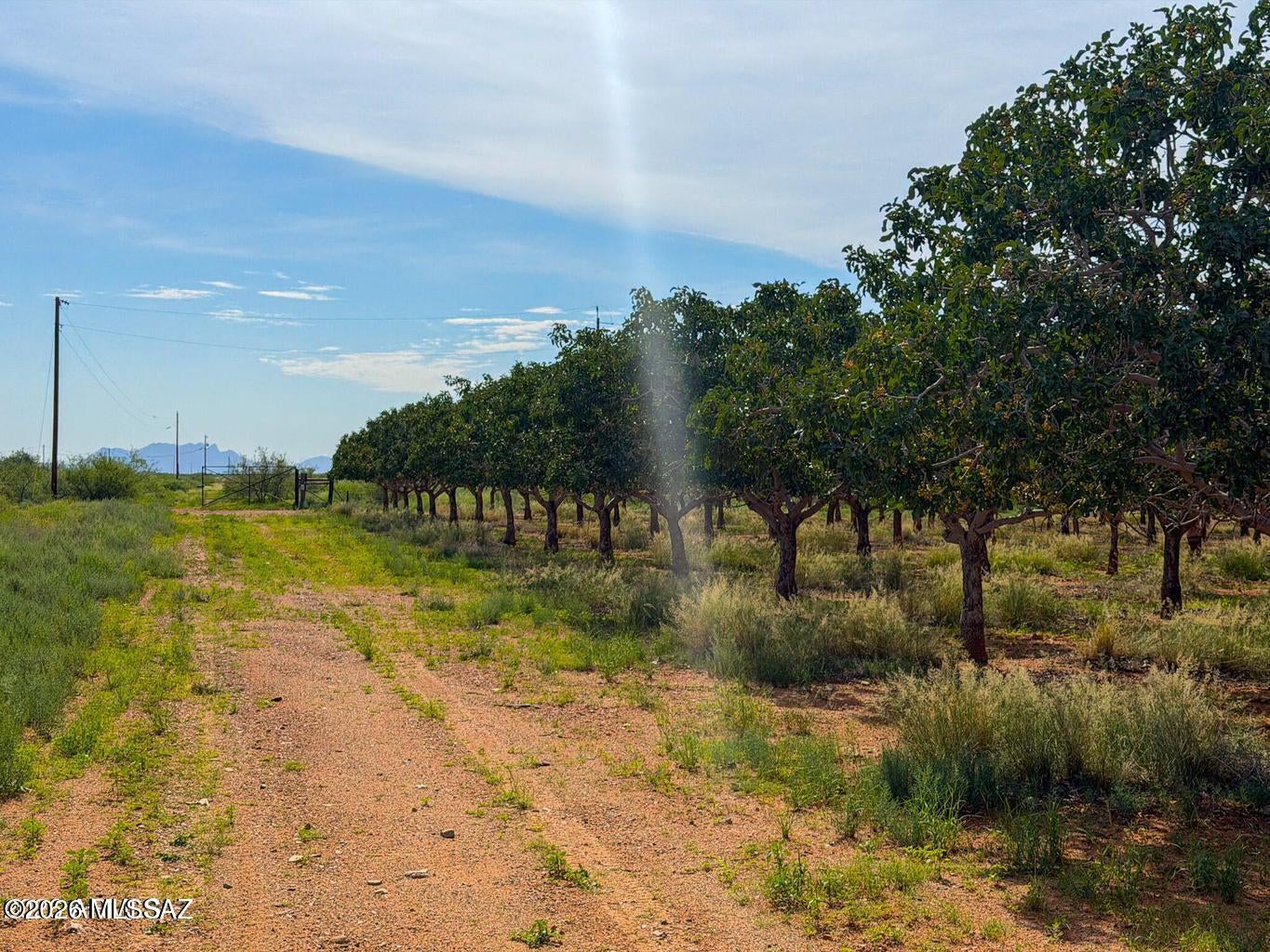 Out Of Pima County - Land
