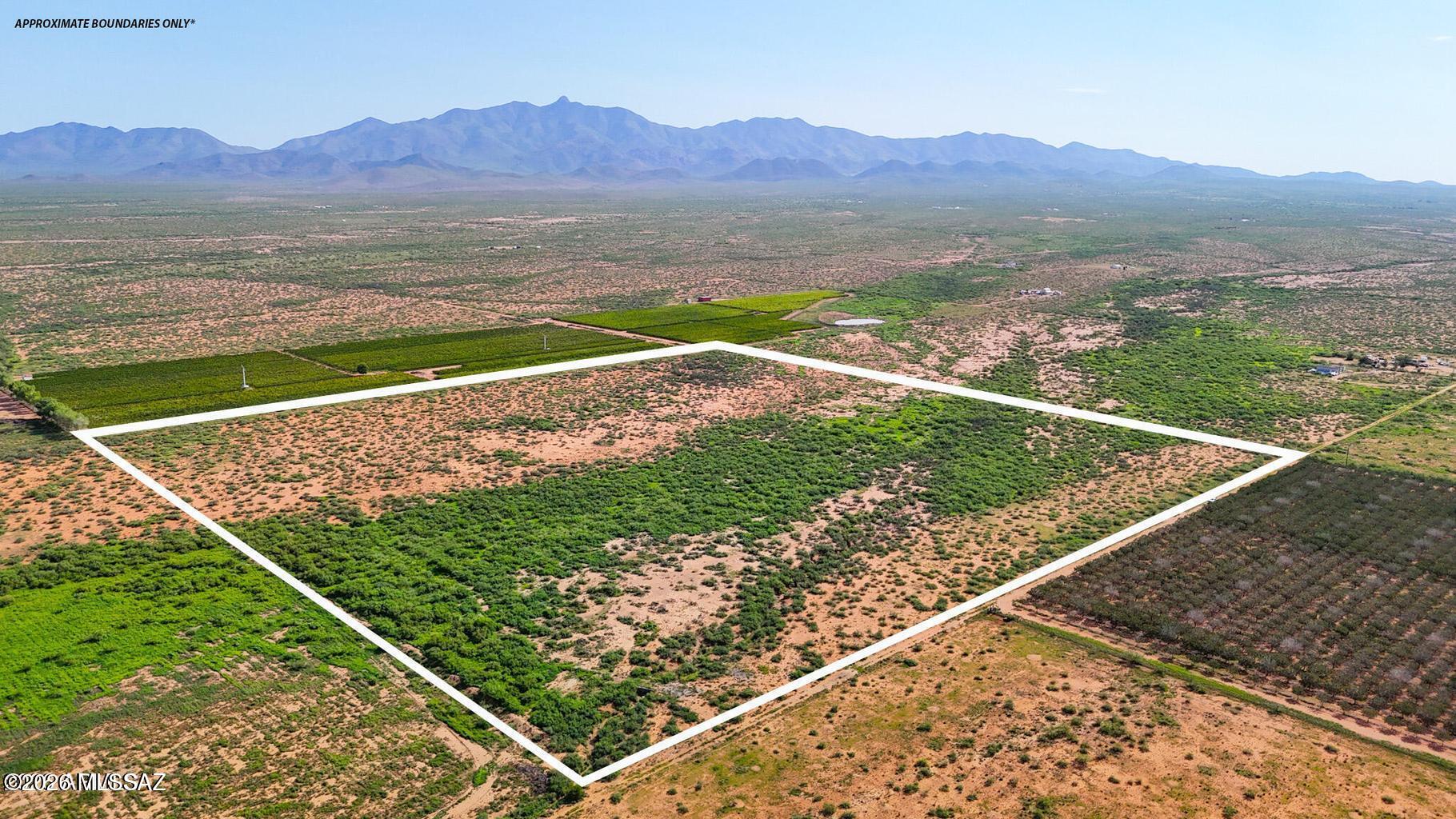 Amazing flat, level property with power on the lot in the middle of Arizona wine country! Stunning mountain views, good roads, amenities minutes away in downtown Willcox. Excellent property to grow grapes, build your dream winery, estate, ranch, cabin, manufactured ... the choice is yours! Surrounded by Arizona's best wineries, agriculture, farms and horse property, with the highway close along with downtown Willox, this is ideal property for the farmer, rancher or winter in you!