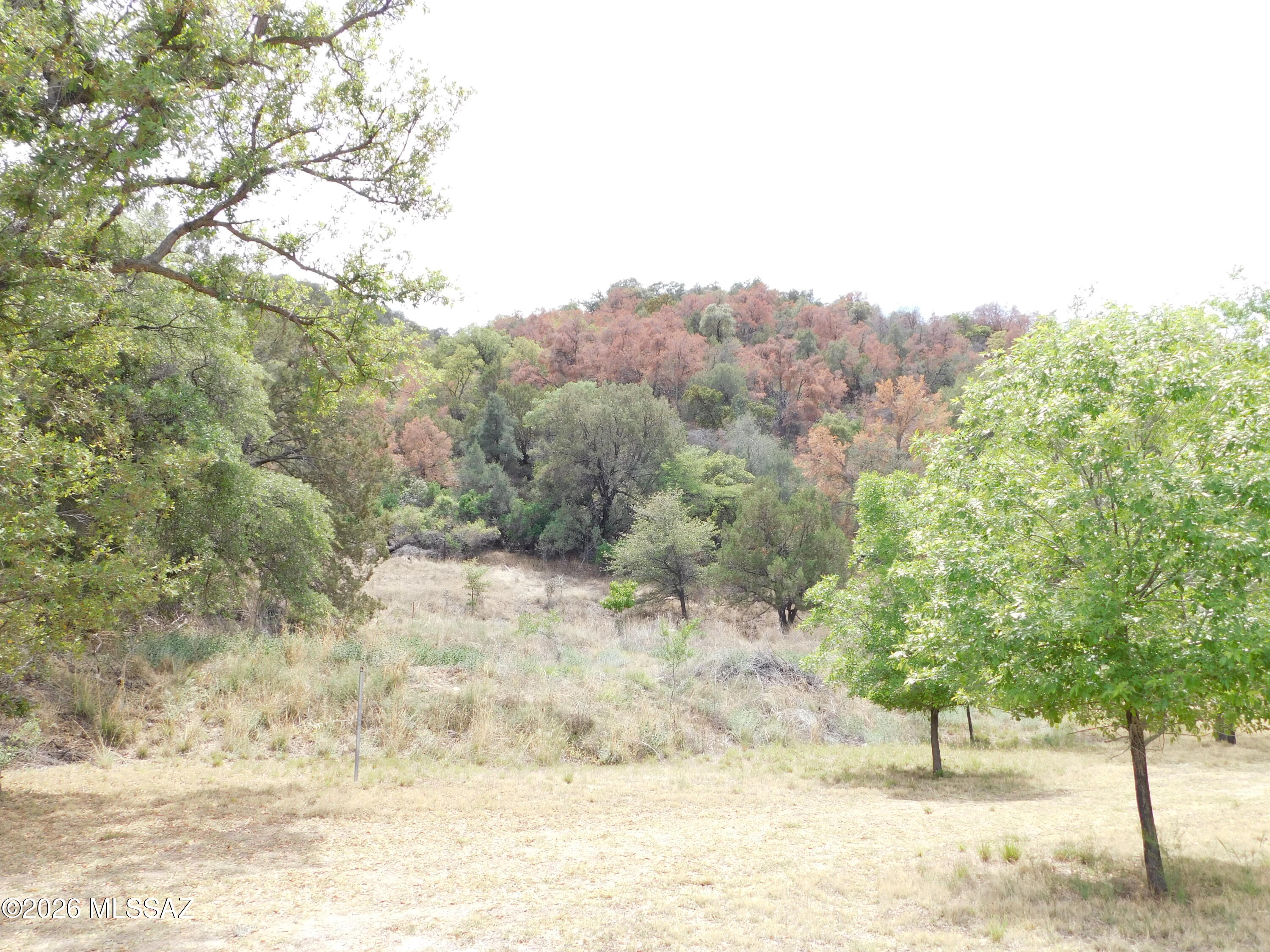Out Of Pima County - Farm
