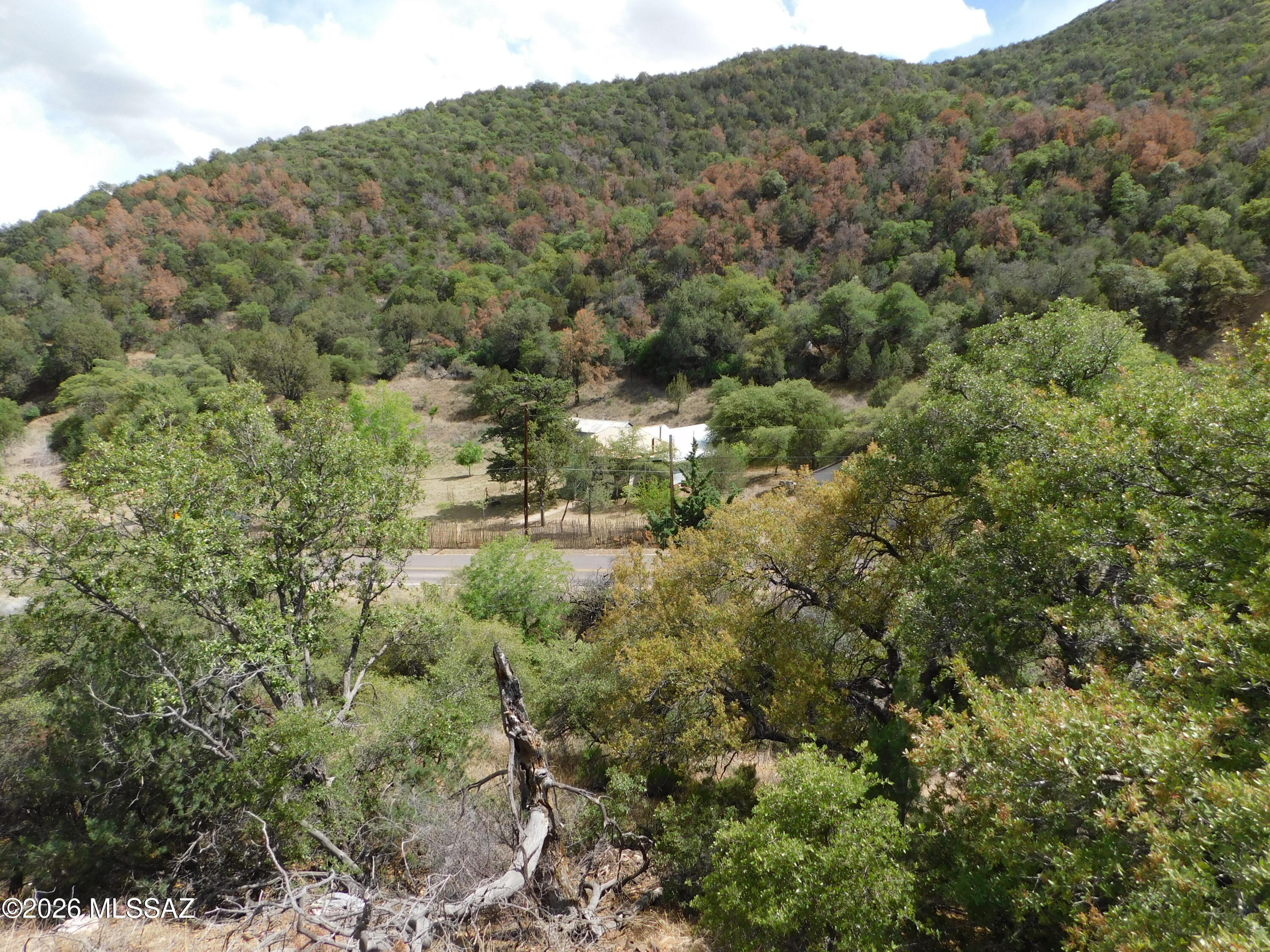 Out Of Pima County - Farm