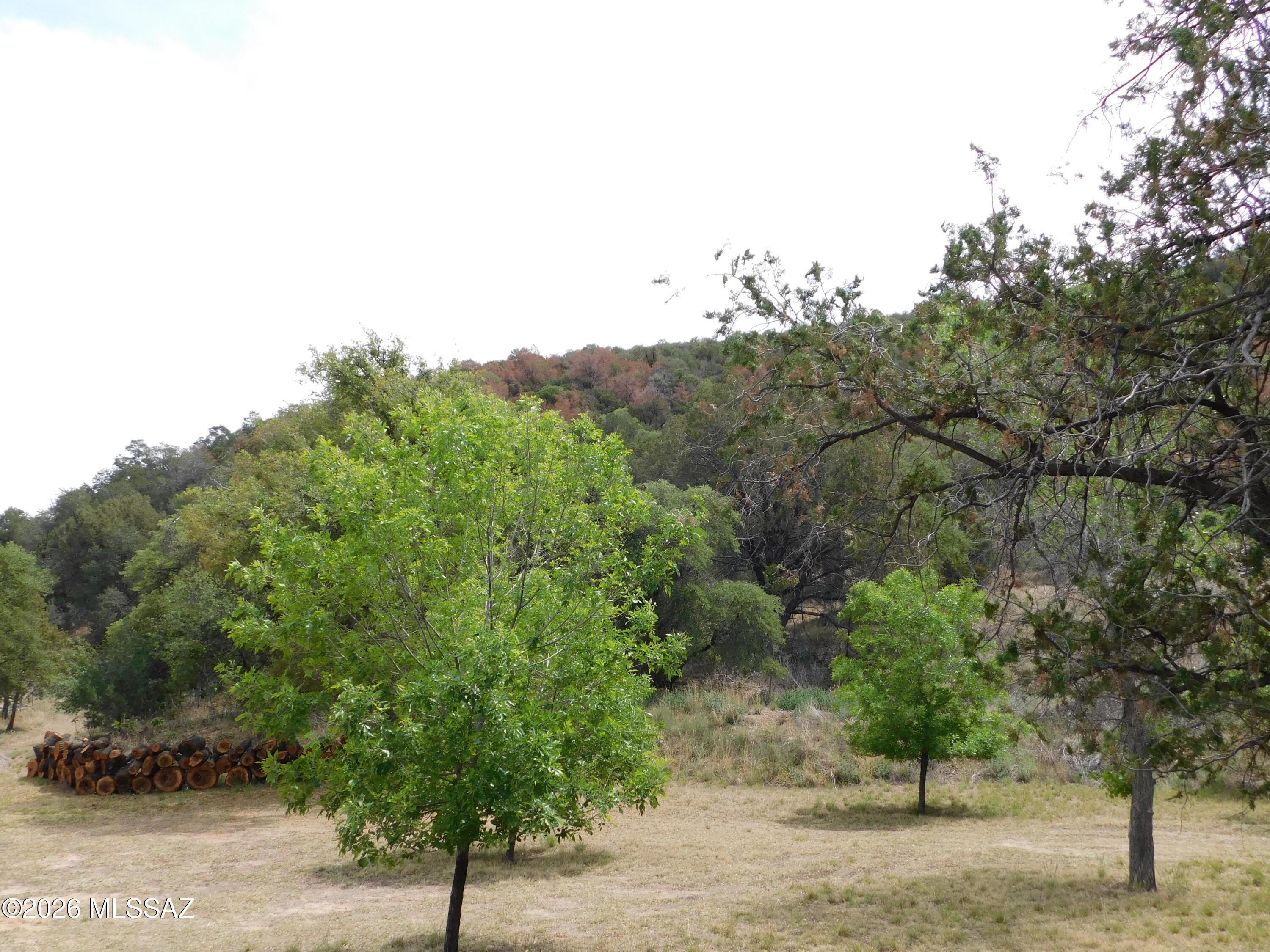 Out Of Pima County - Farm