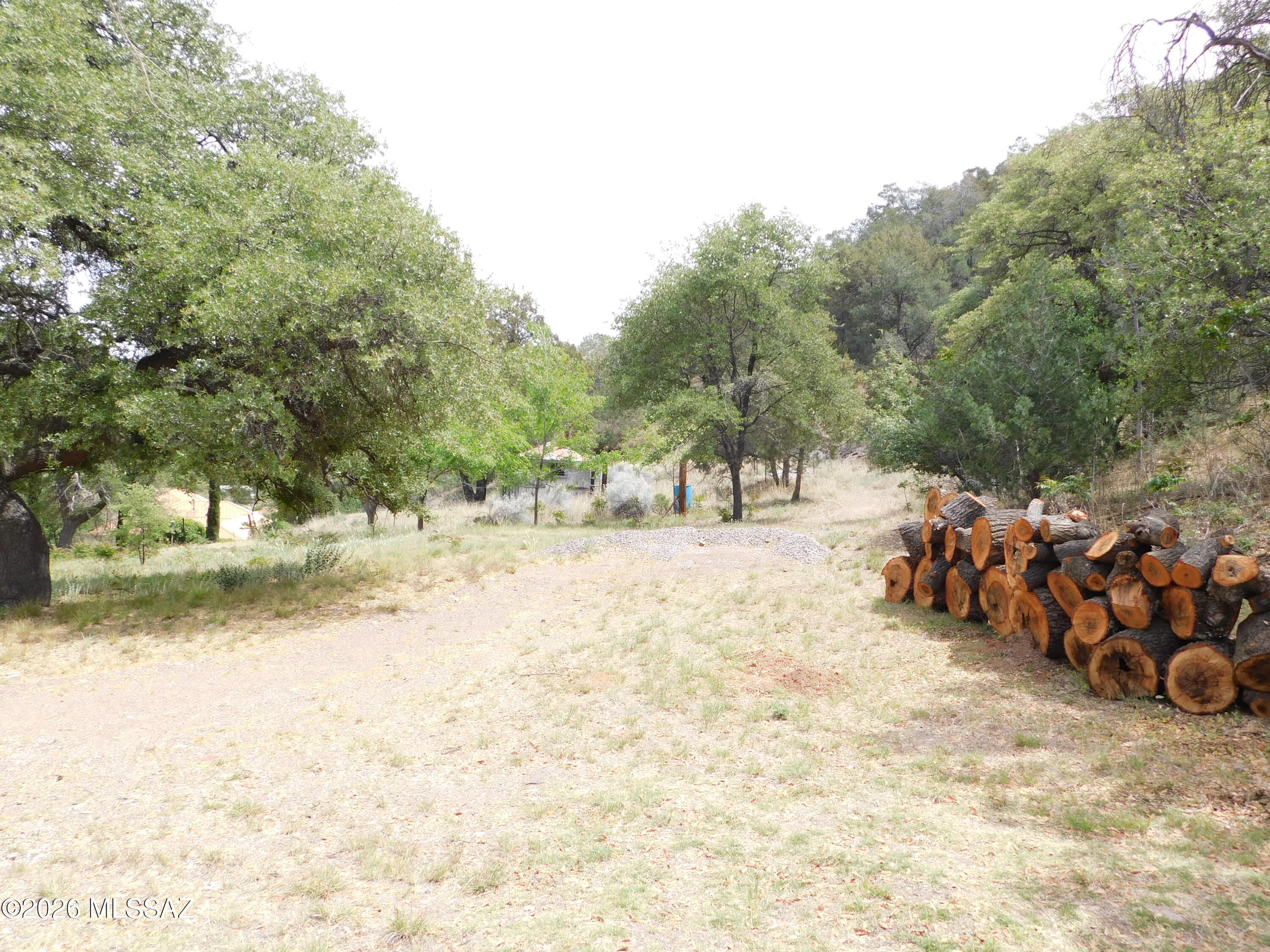 Out Of Pima County - Farm