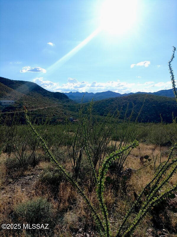 Seller is motivated to sell and is offering a $1,500 concession towards driveway improvements.

The view from the top of this 7-acre property is awesome! Located in the historic Hilton Ranch area, this well thought out lay land split has a 3-part well share with legal utility access to the well and to bring the power up from the Hilton Ranch Rd just below.  Also there is a legal access driveway taking you right to the border of your ridge top sanctuary, if you so desire. This property has its own water shed that you could shape into a Permacultere catch basin, or let your imagination run wild.  No HOA.
  Our Sign is located at the start of the Access Rd, where this road ends at the top is the border to this land.
  Please see the Plat Map and survey with the photos.