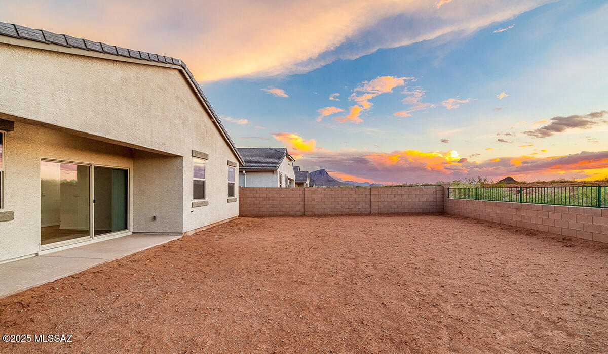 Saguaro Bloom SQ20180540069 - Residential