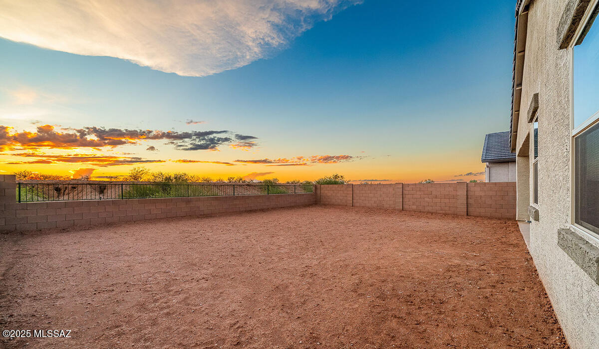 Saguaro Bloom SQ20180540069 - Residential