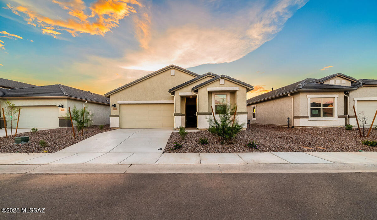 Saguaro Bloom SQ20180540069 - Residential