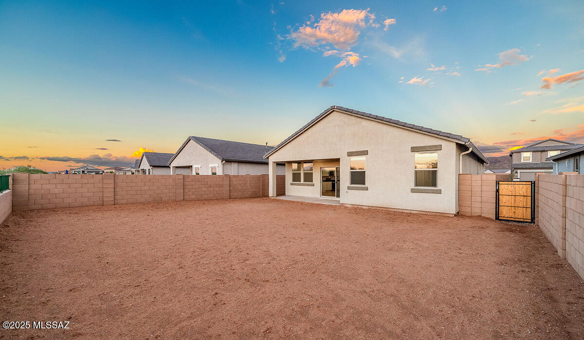 Saguaro Bloom SQ20180540069 - Residential