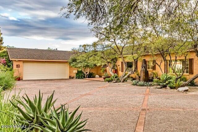 Catalina Vista - Residential