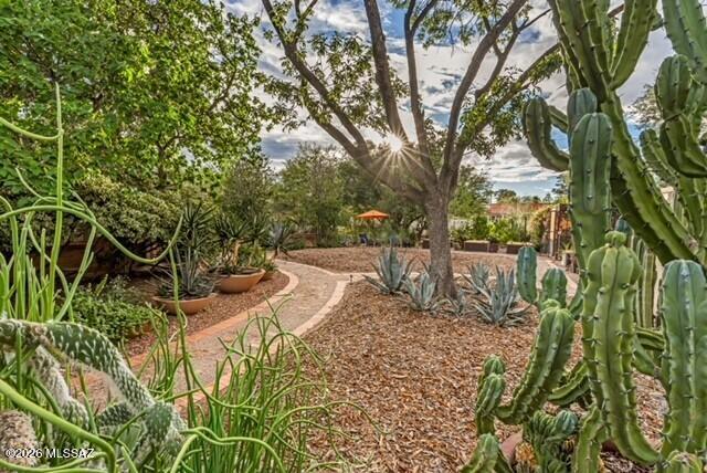 Catalina Vista - Residential