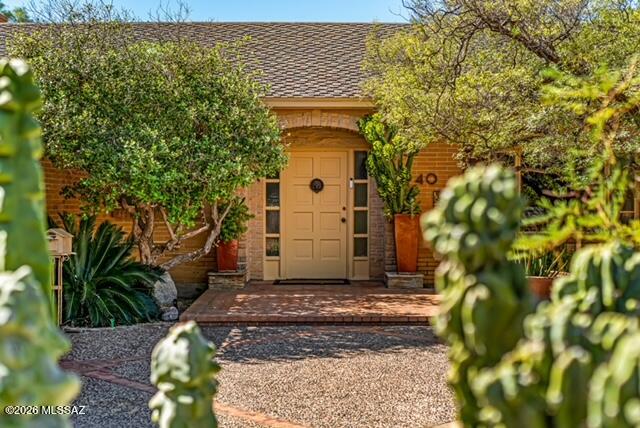 Catalina Vista - Residential