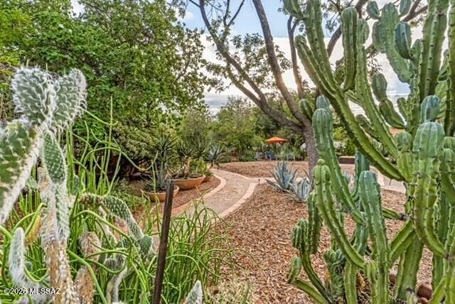 Catalina Vista - Residential